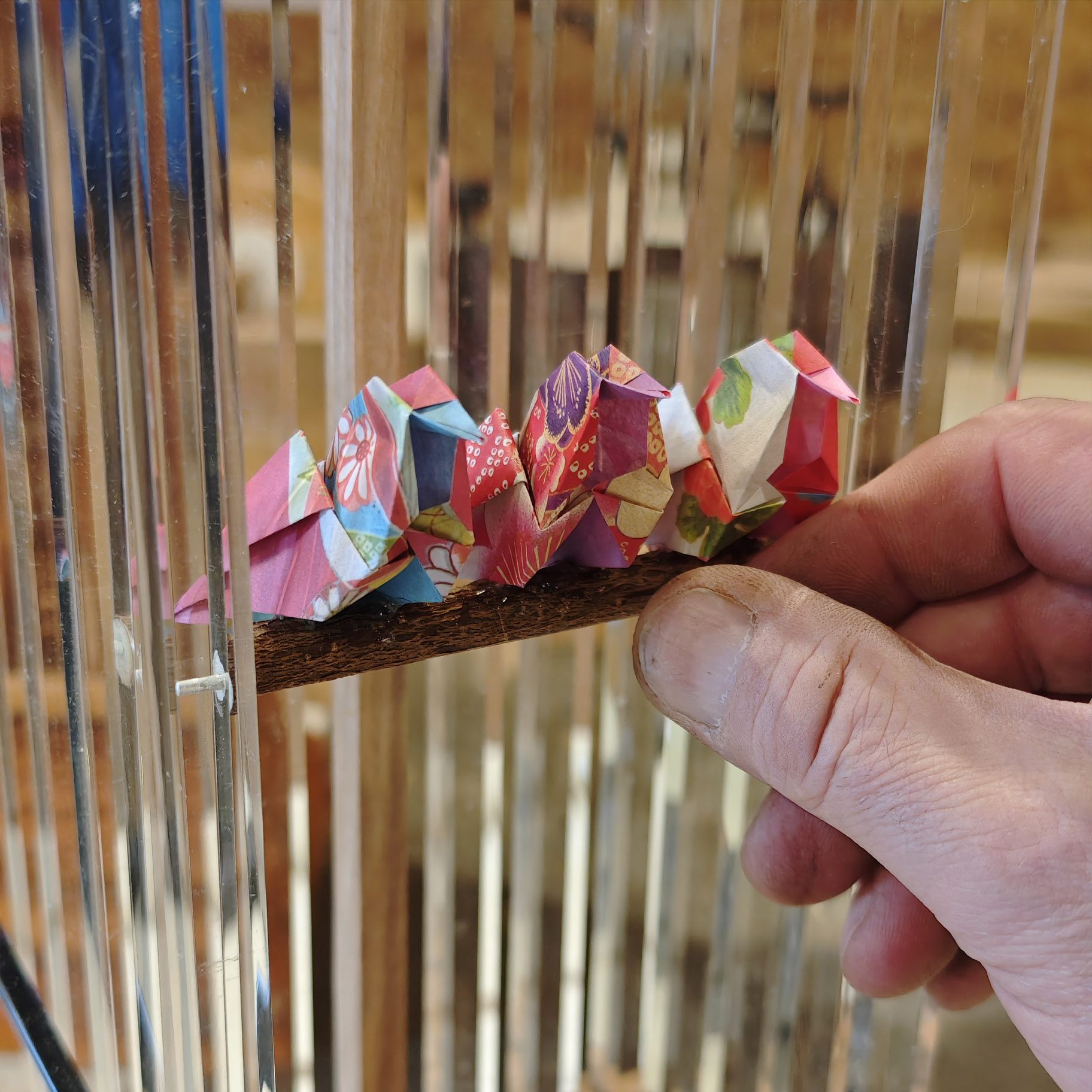 Lampe de la collection bocage en bois de noyer et plexiglass, oiseaux origami et abat-jour avec un tissus anglais Cole & Son, par l'Atelier Villard.
