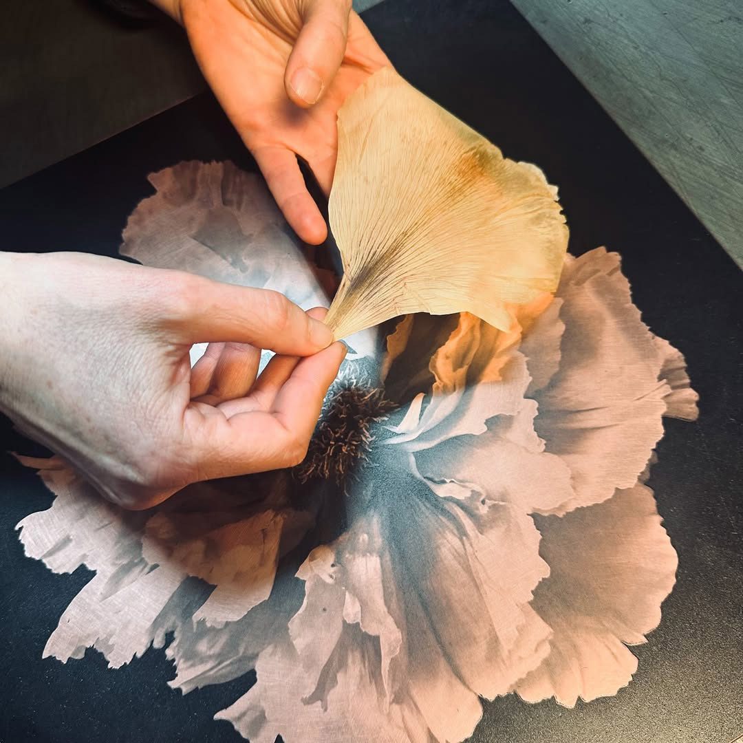 Série d’héliogravures réalisées pour @sophielevayer Impression sur Chine collé Sophie Levayer Paeonia shin tohen Héliogravure au grain sur Chine collé Koozo Murashi imprimée par Fanny Boucher Atelier Helio'g.
