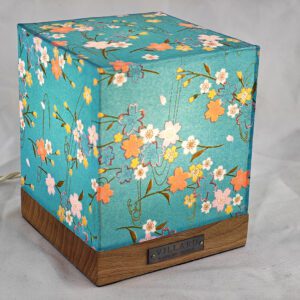 Le cube Villard La Source, lanterne électrique par l'Atelier Villard